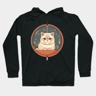 Exotic Shorthair Cat Xmas Xmas Ornament, Love Cats Hoodie